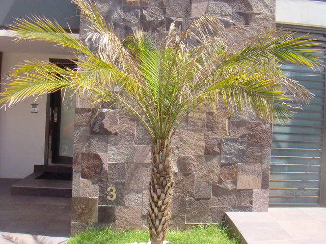 colage de piendra arqueologica