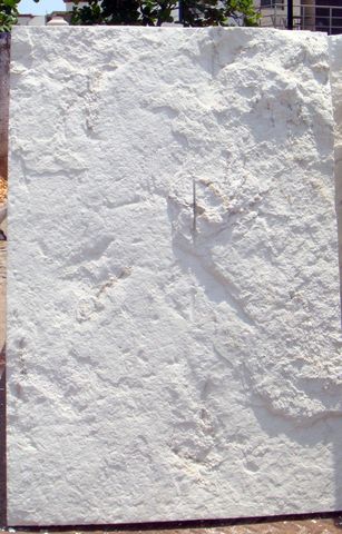 CANTERA blanca galarza