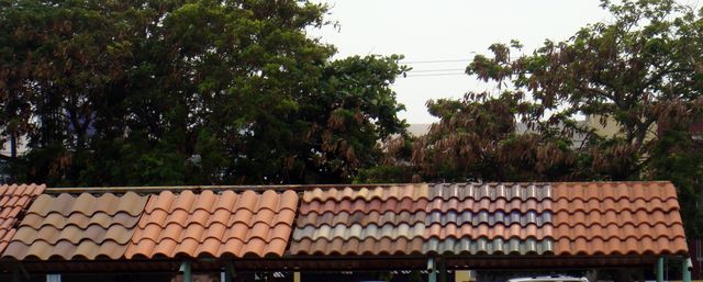 tejas portuguesas