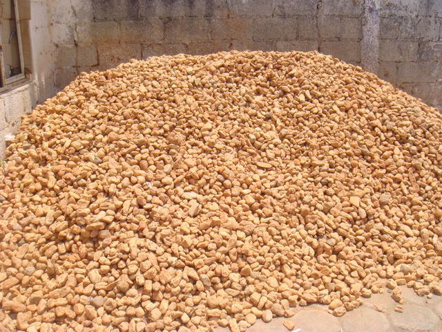 cacahuatillo