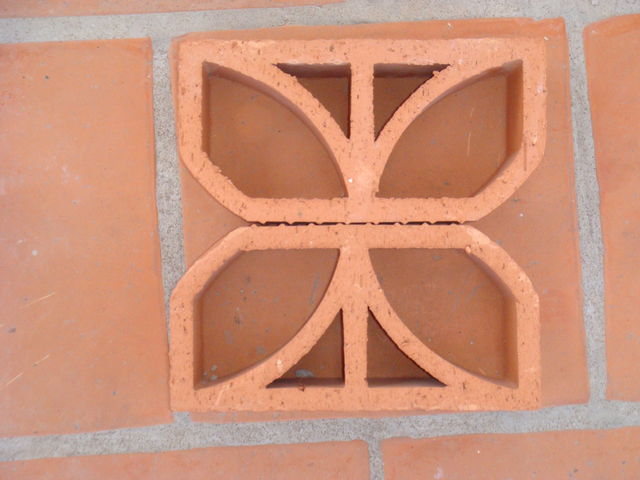 celocia #3